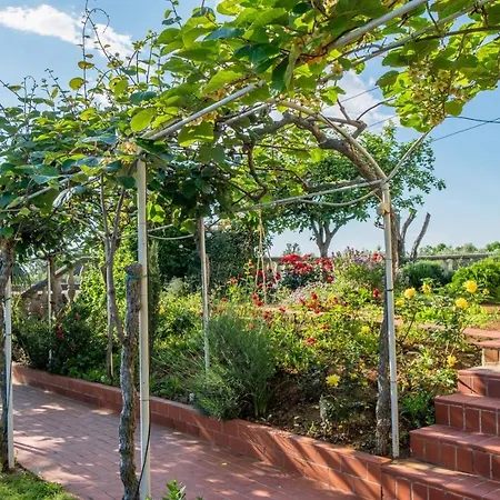 Villa Alberi With Pool *