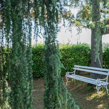 Alberi With Pool Villa *